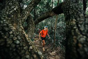 BIB: 
                            <button type="button" onclick="openModal(25392399)" class="btn btn-primary btn-sm float-right btn-popup" data-toggle="modal" data-target=".modal-high-quality">
                        <i class="fas fa-shopping-cart"></i> Add to Cart
                    </button>
                                            <button type="button" onclick="isThisMe(25392399, true)" class="btn btn-success btn-sm float-right btn-popup btn-isme hidden" data-toggle="tooltip" data-placement="bottom" title="นี่คือรูปของคุณใช่ไหม คลิกที่นี่เพื่อเอาเข้าอัลบั้ม">
                        <i class="fas fa-plus"></i> Add to album
                    </button>
                    <button type="button" onclick="isThisMe(25392399, false)" class="btn btn-warning btn-sm float-right btn-popup btn-isnotme hidden">
                        <i class="fas fa-ban"></i> Remove from album
                    </button>